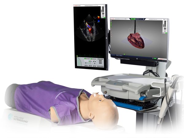 Echocardiography Simulator - Intelligent Ultrasound